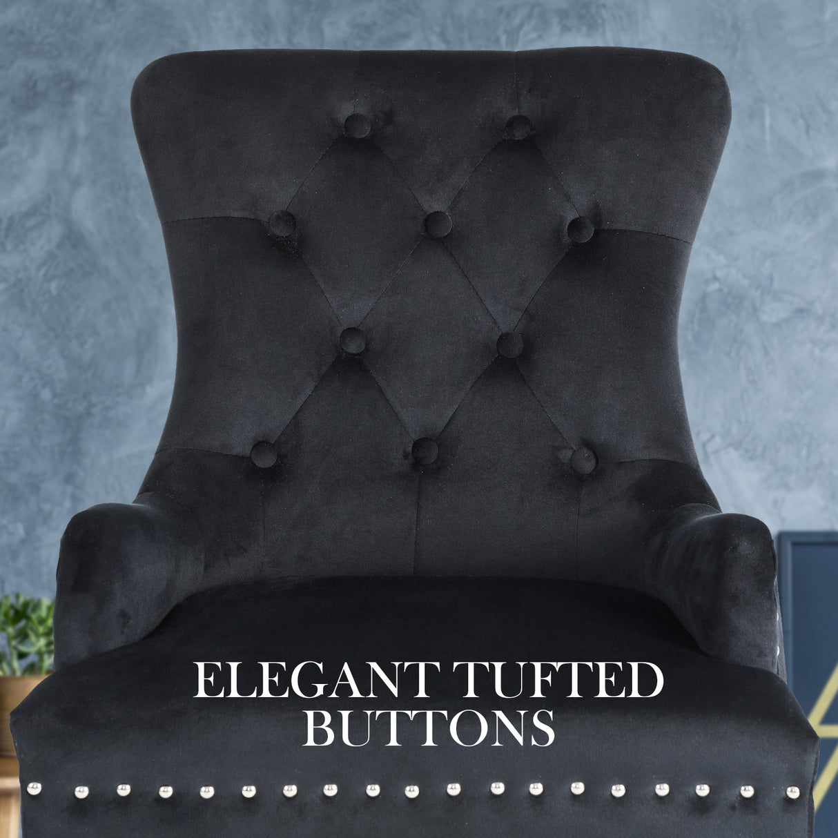 1X French Provincial Velvet with Ring Chair LISSE - BLACK