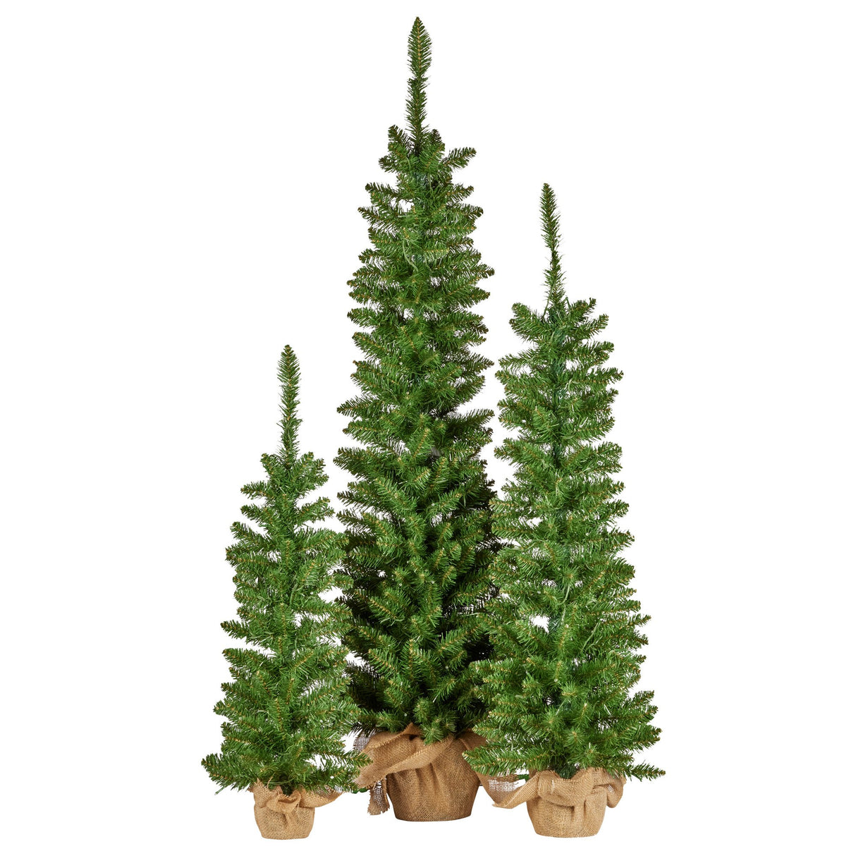 Christabelle Set of 3 Prelit Christmas Trees with Hessian Bases