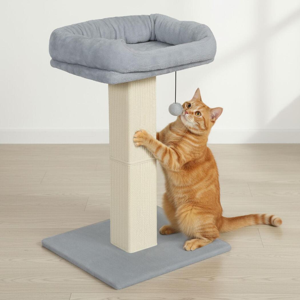 Pawz Cat Scratcher Big Perch Bed-2006732791278080007