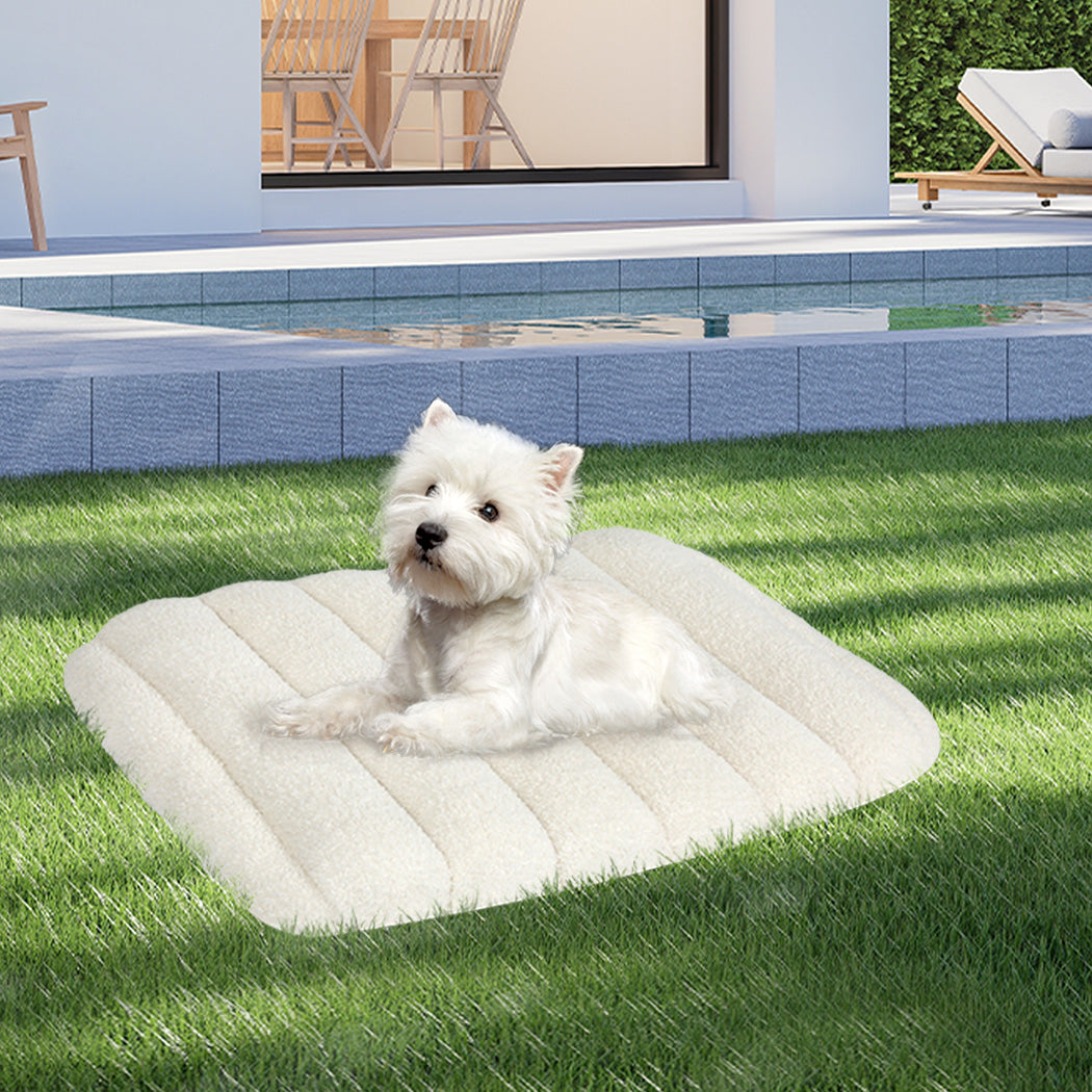 Pawz M Size Orthopedic Dog Bed with Sherpa Plush Removable Cover in White-2018816699154960391