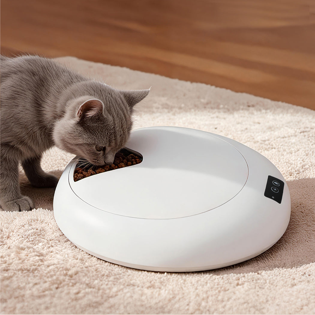 Pawz 6 Meals Automatic Timer Pet Smart Chilled Feeder-2018816718100631559