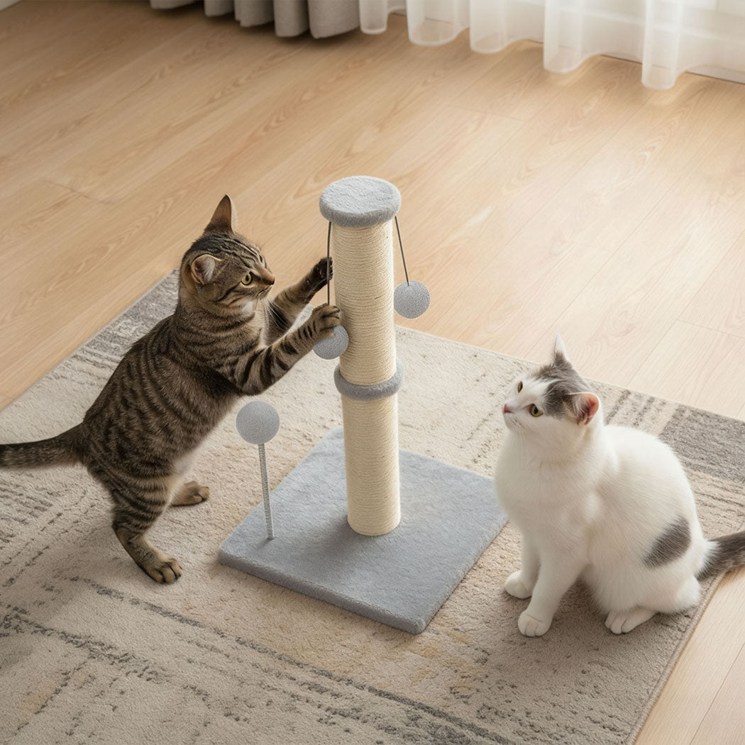 Pawz Cat Scratcher Tower Scratching Post-2006732788501450759