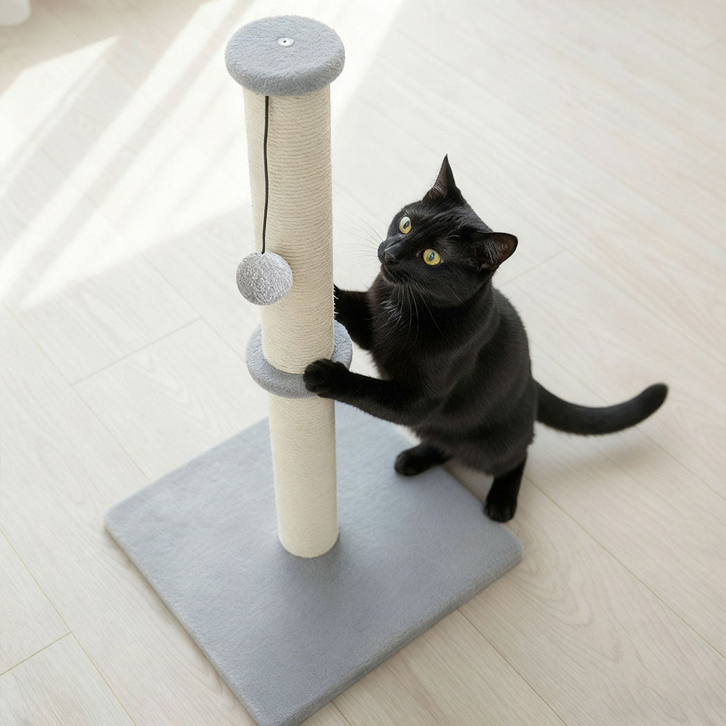 Pawz Cat Scratcher Scratching Post-2006732790871232519