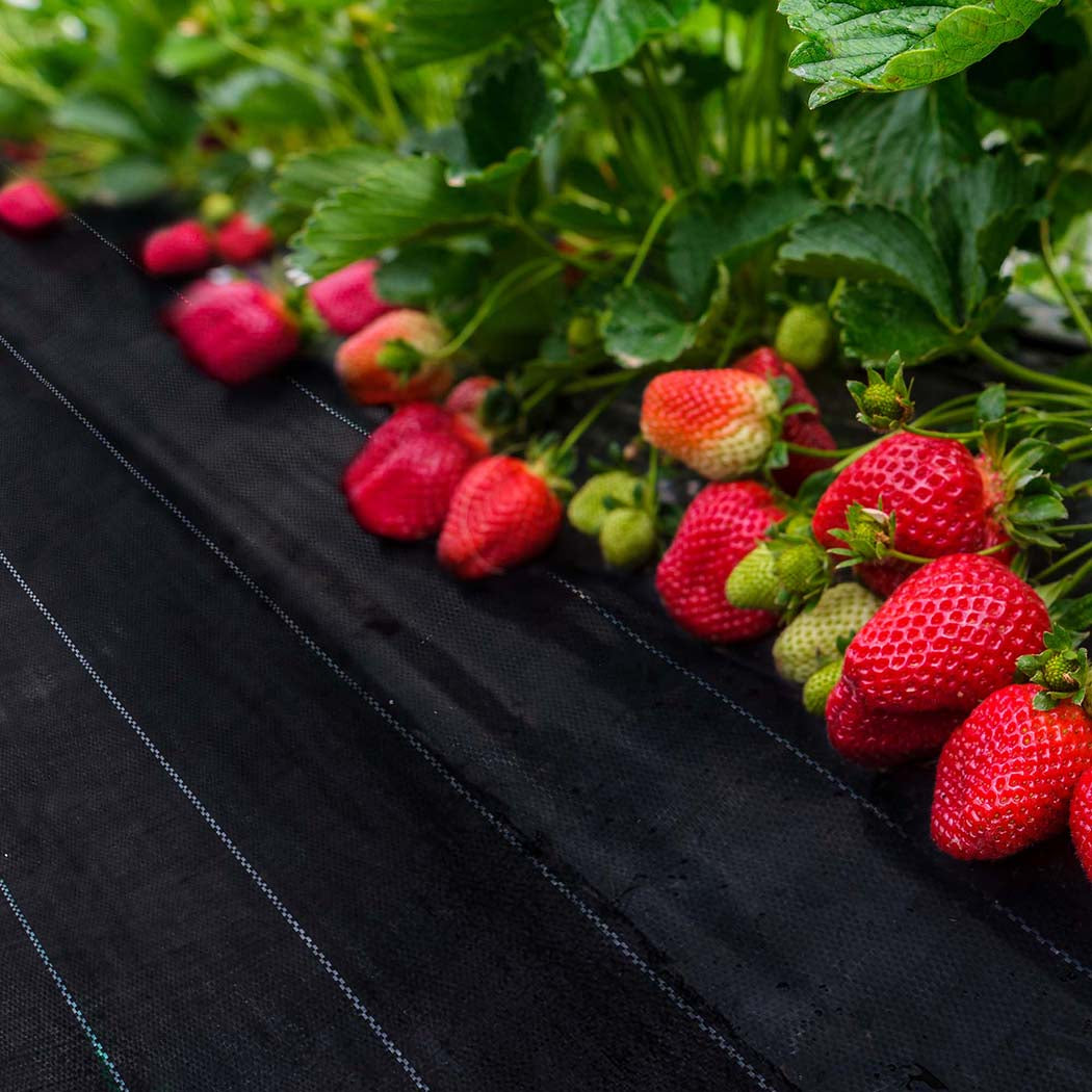 Lambu Weed Mat 1.83mx100m Plant Control XXX-Large-2006732934345789447