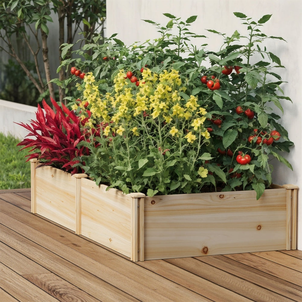Livsip Garden Bed 160x80x30cm Raised Wooden Planter