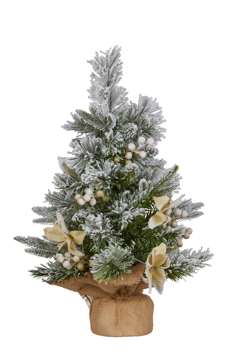 Christabelle 2ft Christmas Tree with Lights - Potted Frosted Colonial