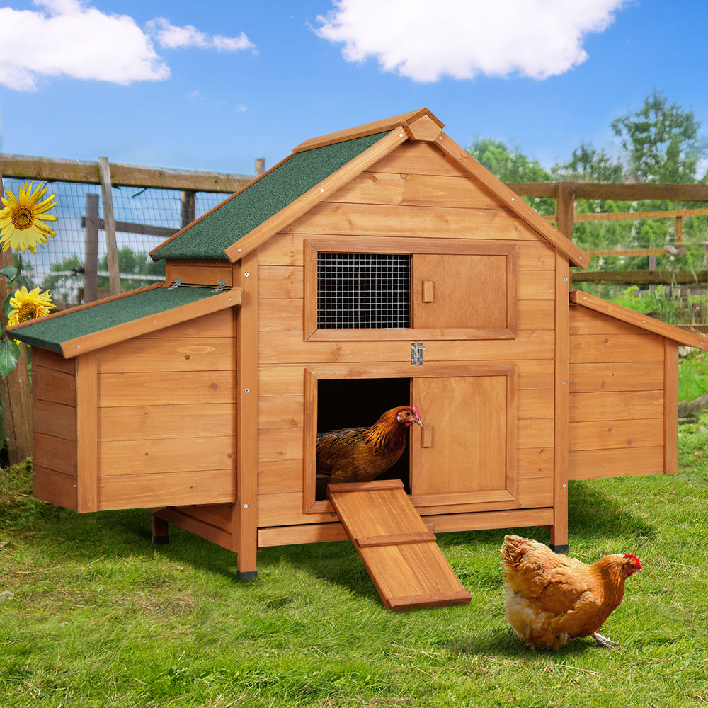 i.Pet Chicken Coop Rabbit Hutch 150cm x 68cm x 96cm Large Chicken Coop House Run Cage Wooden