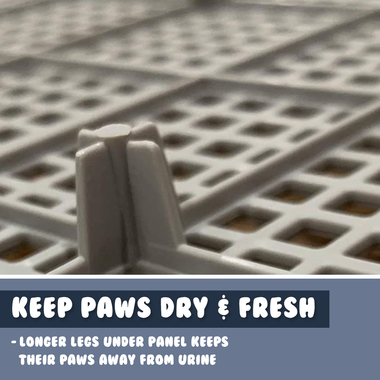 Pet Potty Tray Raised Walls T1 - BLUE