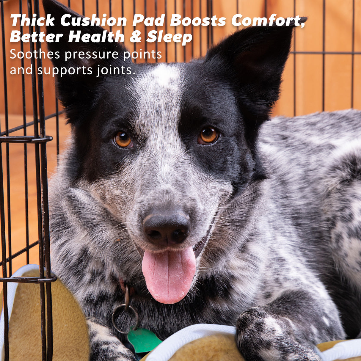 48in Foldable Wire Dog Cage with Tray + Cushion Mat