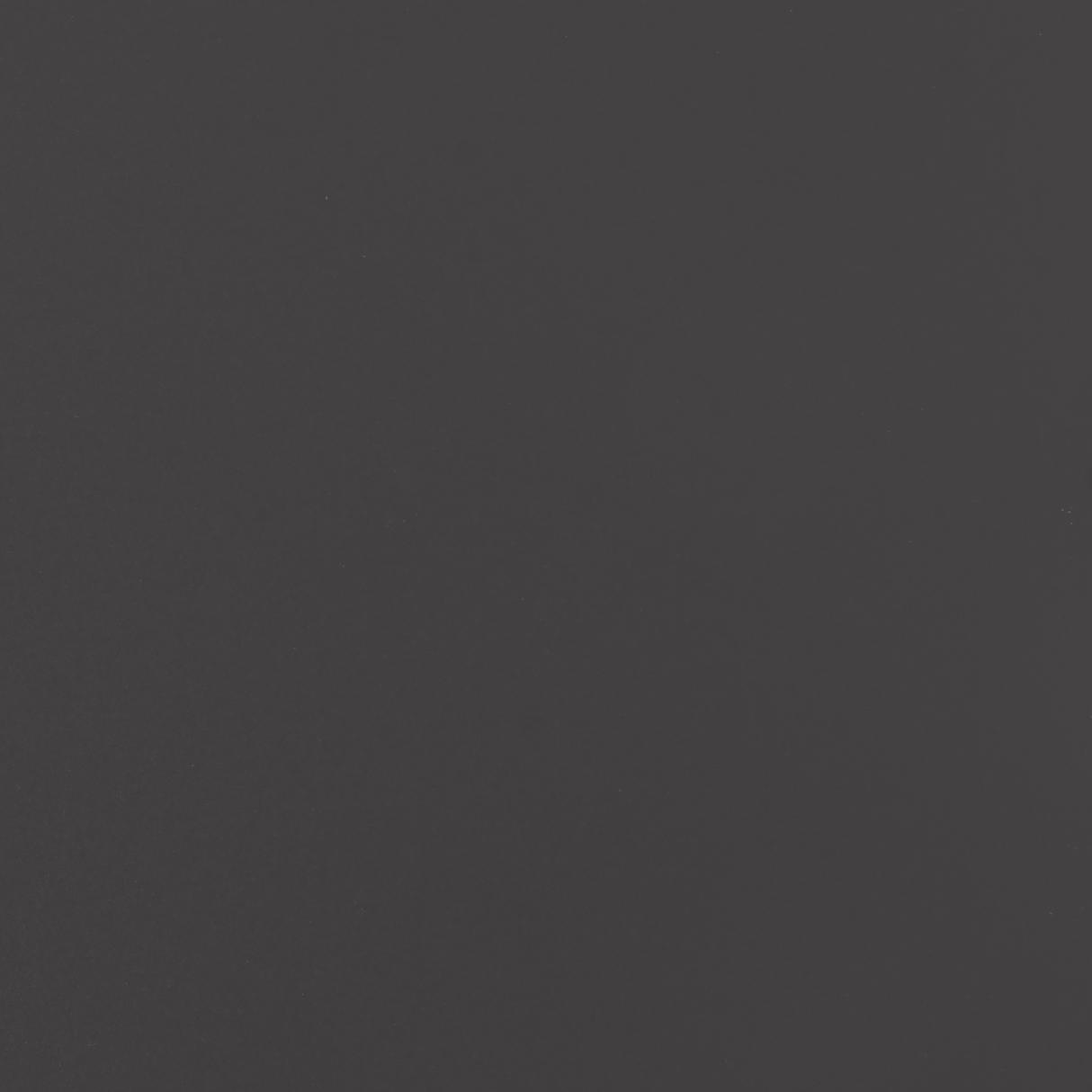 Garden Privacy Screen Black 50 x 140 cm Cold-rolled steel