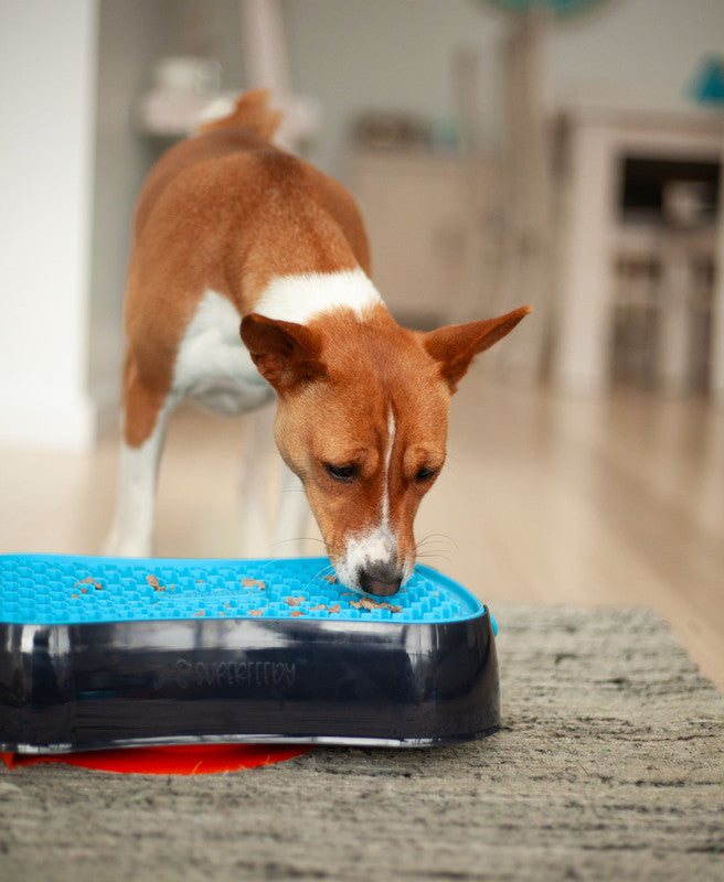 4-in-1 Slow Feeder Dog Bowl - Dark Grey Bowl with Blue Lickmat