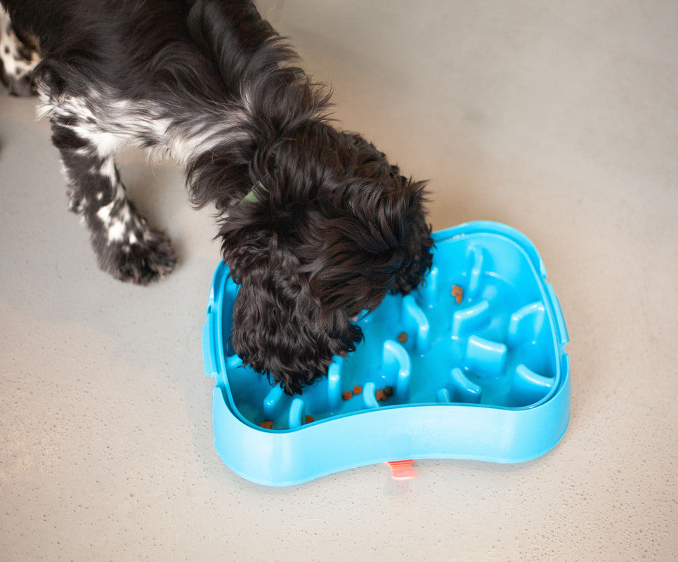 Marley Slowappy Slow Feeder Bowl - Blue