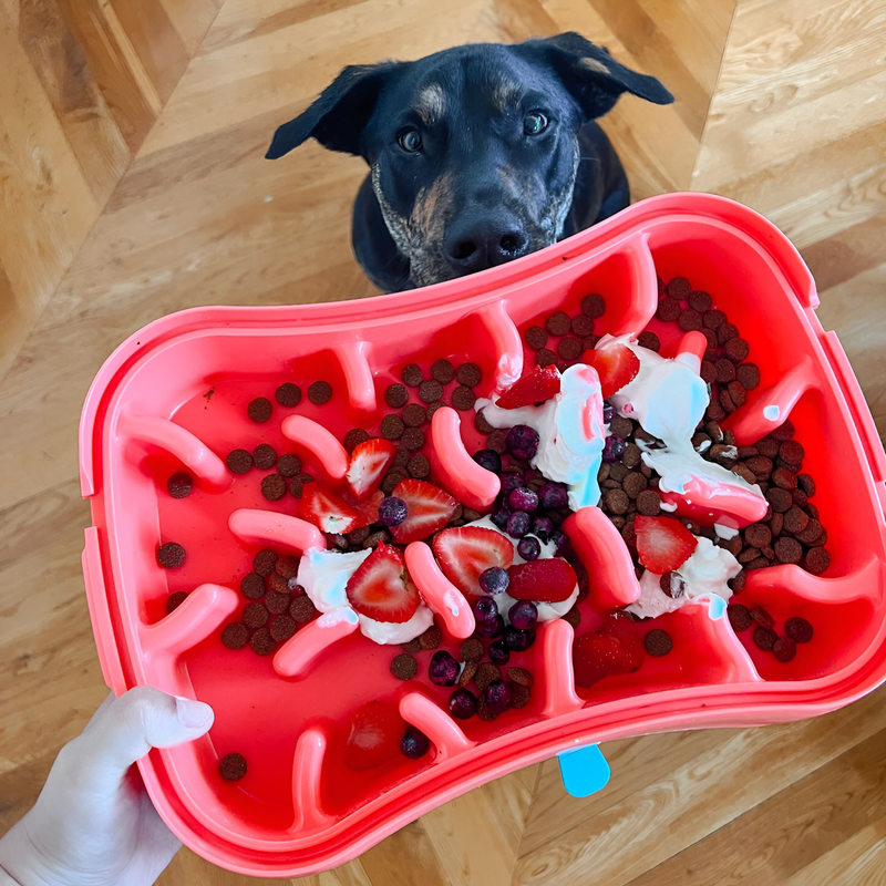 Marley Slowappy Slow Feeder Bowl - Warm Ocean Red