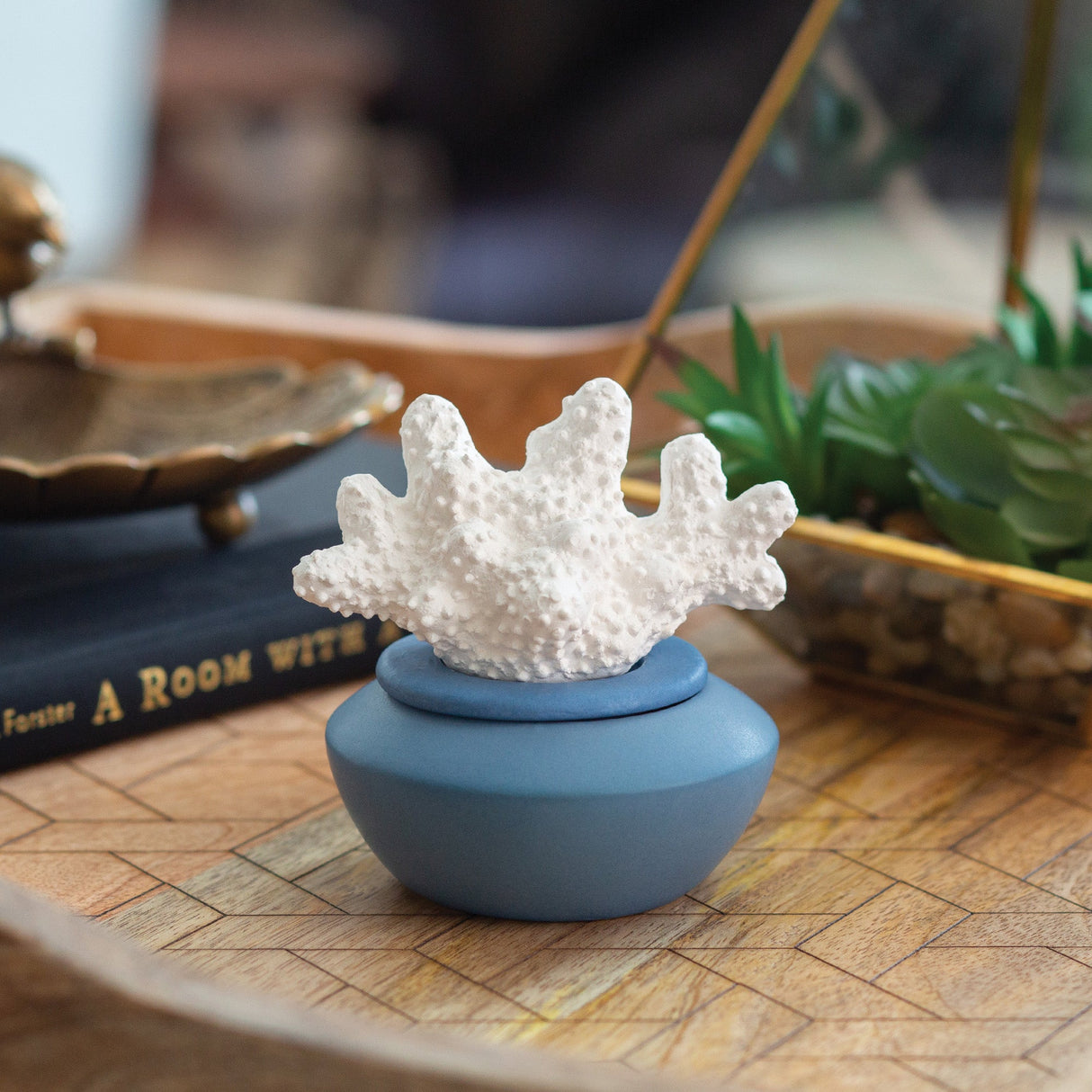 Coral Porcelain Passive Diffuser