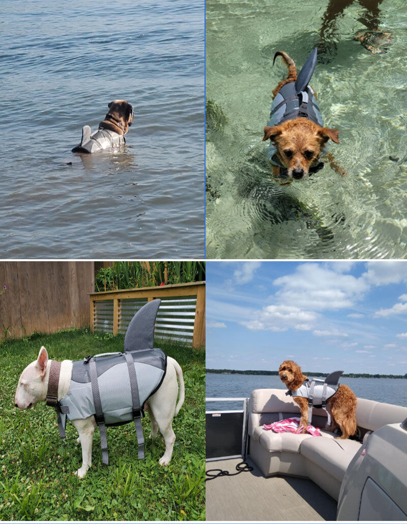 Pet products Dog Life Jacket, Cute Shark Dog Life Vest for Swimming Boating with Superior Buoyancy and Rescue Handle, Adjustable Puppy Floating Swim