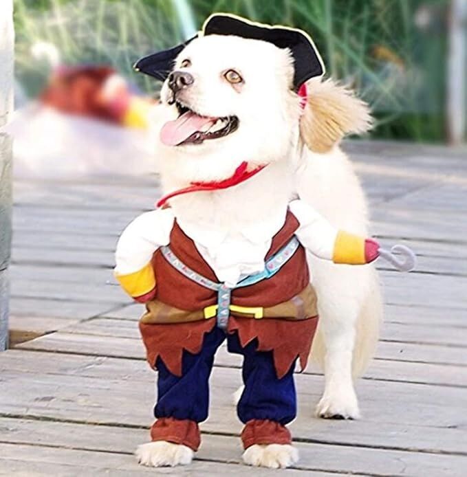 pet products New Funny Pet Clothes Pirate Dog Cat Costume Suit Corsair Dressing up Party Apparel Clothing for Cat Dog Plus Hat