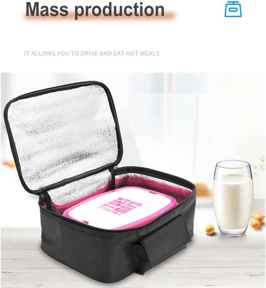 12V Car Insulated Bag, Electric Picnic Bag, Lunch Bag, Foldable Bag for Carrying Picnic Food - 29cm x 21cm x 11cm