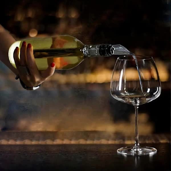 Wine Cooler Chiller 2-Pack Stainless Steel with Aerator Compatible with Standard Bottles