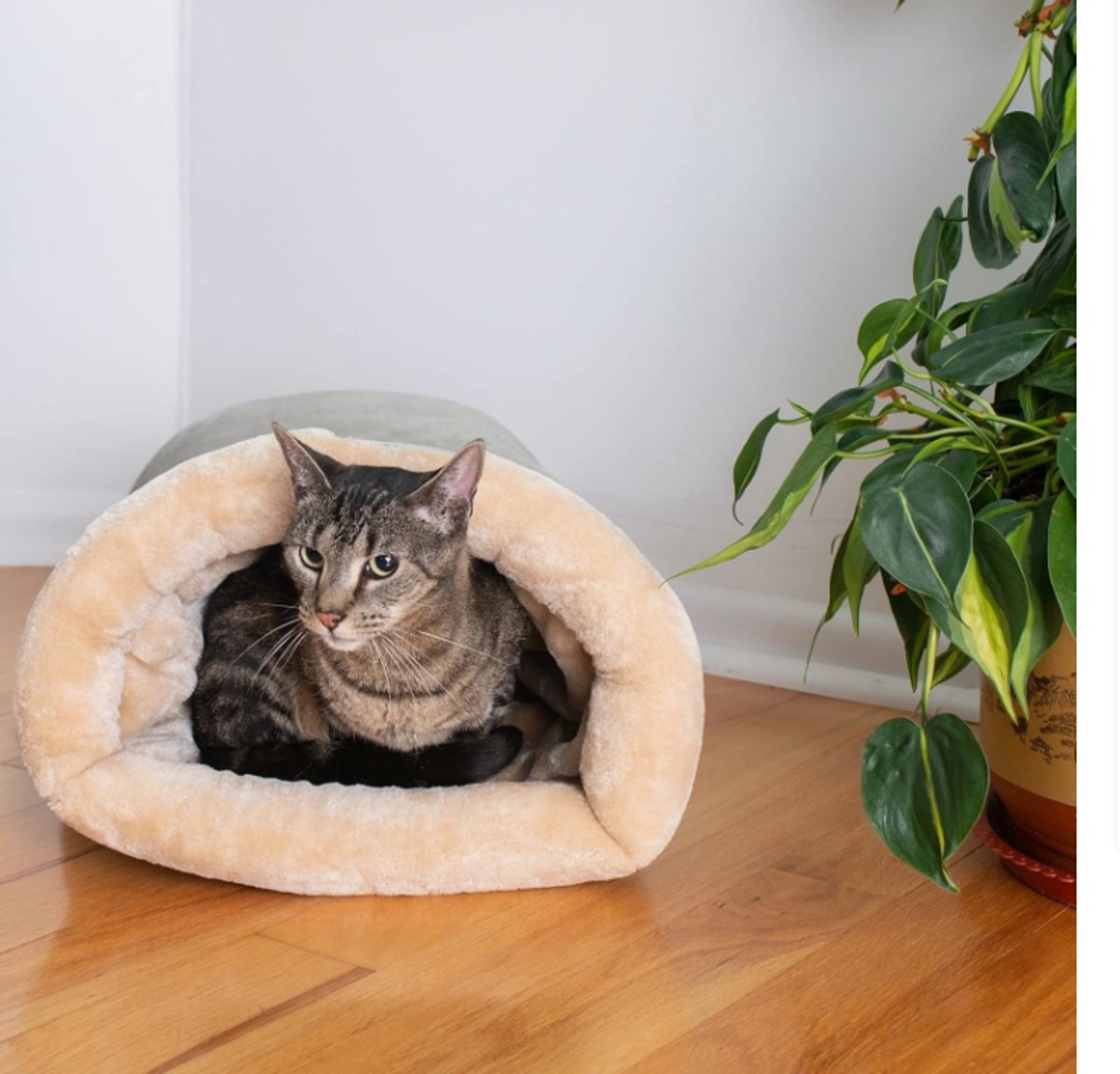 Cat Bed - Cat Basket - Winter Warm - Pet Basket - Autumn/Winter Dog Bed - Pet Cat - Puppy - Cat Bed - Warm - 65*48cm