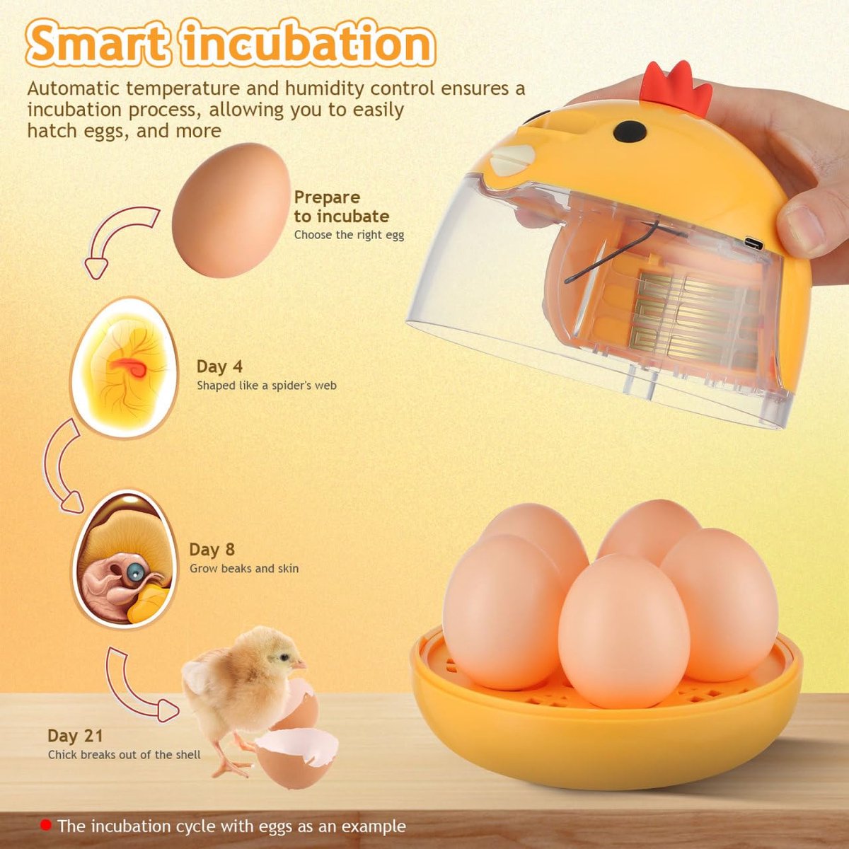Incubator - Egg incubator | Incubator with a capacity of 4 eggs - with automatic temperature and humidity control - suitable for hatching eggs of chickens, ducks, geese, quails, parrots and other poultry