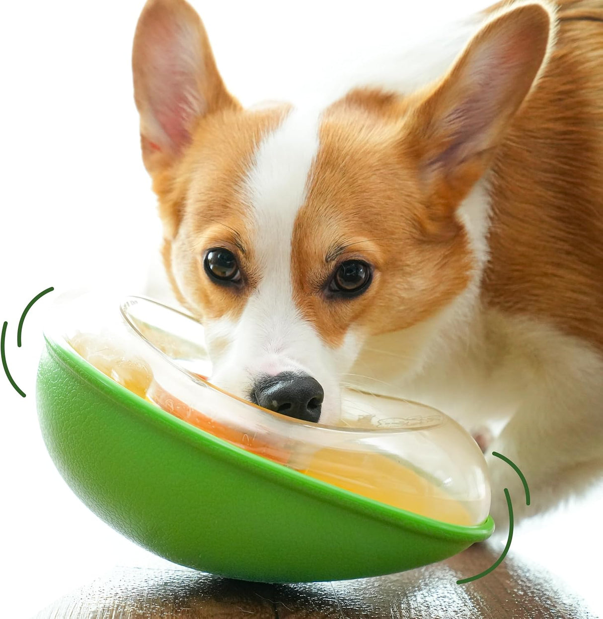 Dog Toy - Leak-Proof - Shake - Avocado - 1pc