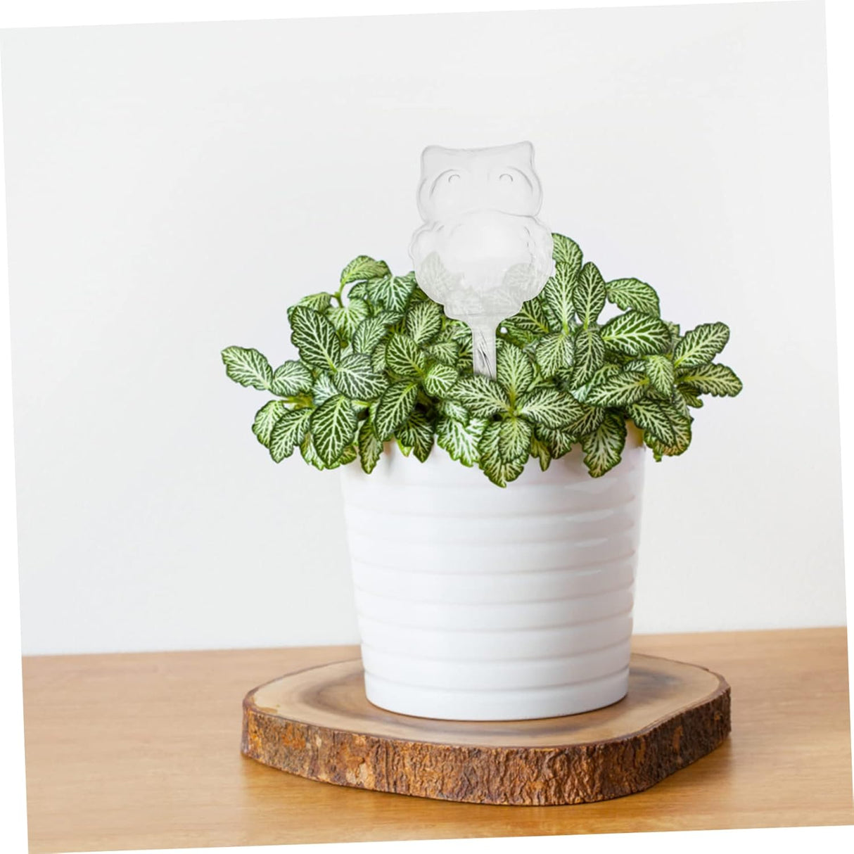 Automatic watering devices for indoor houseplants, live plants, watering spikes, glass watering balls, plastic flower pot, automatic watering devices for plants, travel PVC, The Lazy Flowers