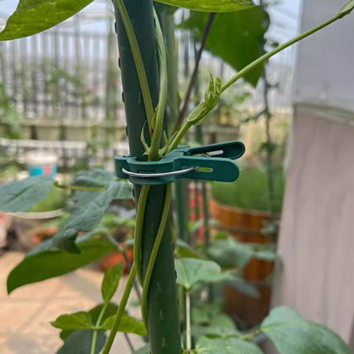 40 pieces plant clips, garden clips, plant clips, reusable tomato clips, multifunctional rattan plant clips, rose clips, sturdy cucumber clips, orchid clips, plant support, adjustable clips, green (20 large and 20 small)