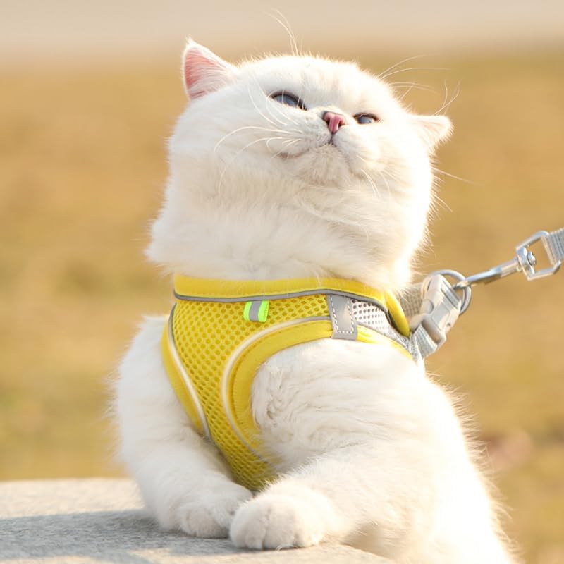 Cat Harness - Cat Harness and Leash Set - Soft, Adjustable, Escape-Proof Cat Leash - Breathable, Comfortable Vest for Easy Putting on, Suitable for Small Dogs and Kittens, Suitable for Outdoor Walks - Yellow XS