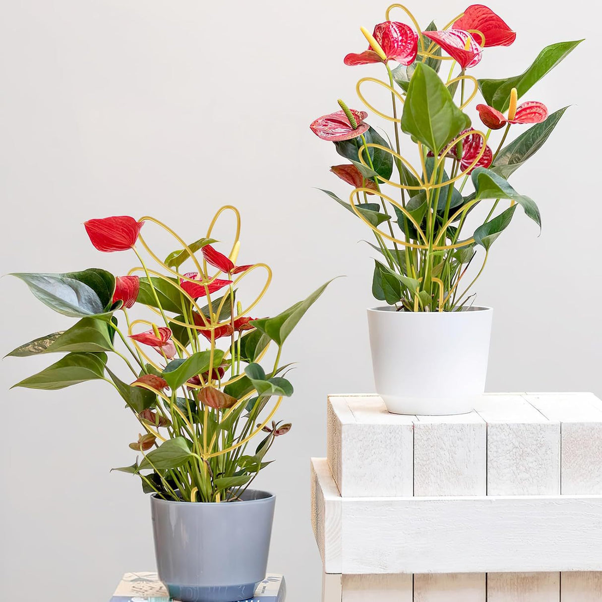 Plant Support Climbing Plants - Leaf-Shaped Plant Climbing Rack - Decorative Plant Stick for Indoors - Includes 20 Tie Straps - Gold