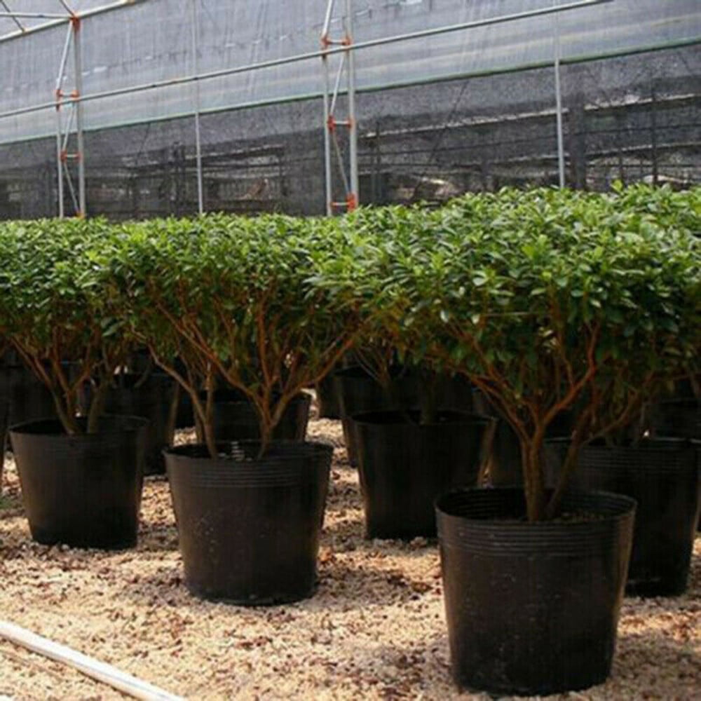 100 Pack Black Plastic Nursery Pots Plant Containers Garden Flower Seedling Planter With Drainage Holes 5Cm 6.5Cm 7.2Cm 7.2*7.2Cm