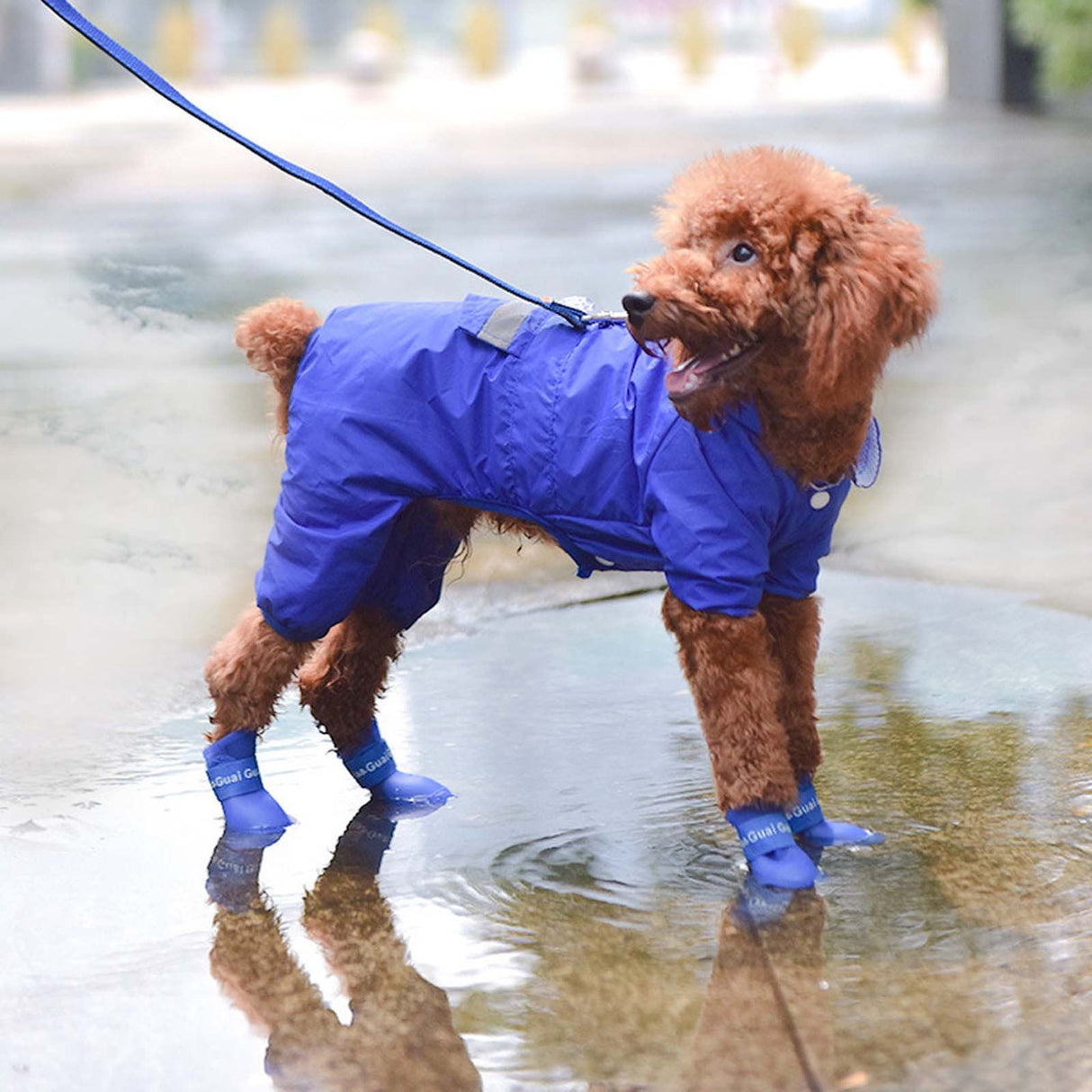 Pet Shoes, Candy Colors Anti-Slip Waterproof Rubber Rain Shoes Boots Paw Cover, Dog Boots & Paw Protectors, for Small Medium Dogs M Blue