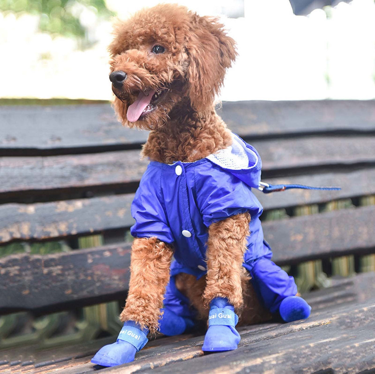 Pet Shoes, Candy Colors Anti-Slip Waterproof Rubber Rain Shoes Boots Paw Cover, Dog Boots & Paw Protectors, for Small Medium Dogs M Blue