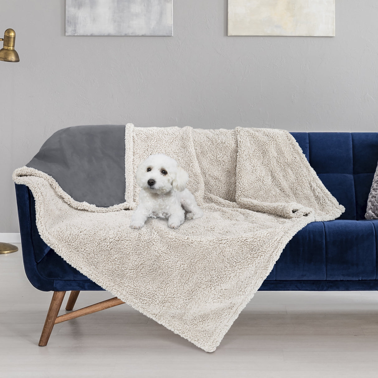 Waterproof Pet Blanket, Pee Urine Proof Dog Blanket Cover for Couch Bed Furniture Protector, Liquid Proof Blanket for Small Medium Dogs, Buffale Red/Tuape, 50” x 60”. Gray/Tuape