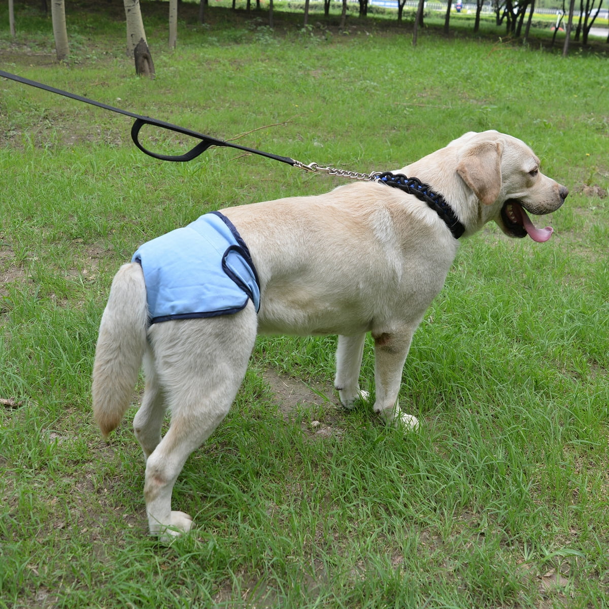 Comfortable Dog Underwear Dog Diapers Pants Male Female to Put On/Off Breathable Physiological Pants Reusable Sanitary Panties for Small to Large Dogs Pet (1pcs, Pink, XL) L Pink