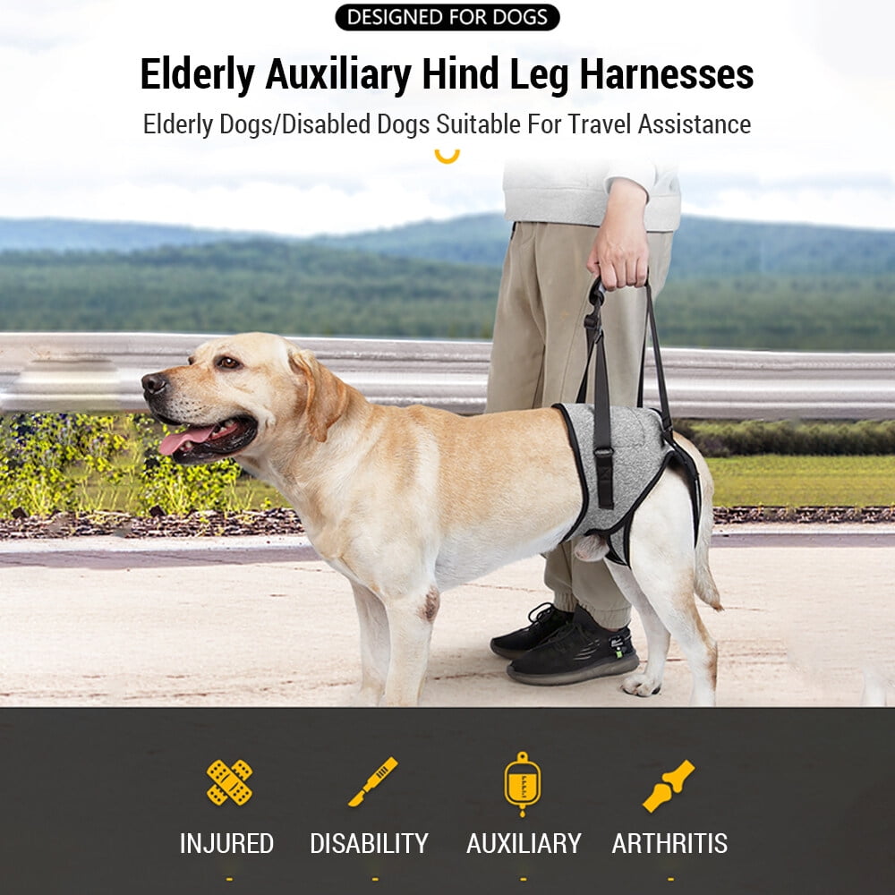 Dog Sling for Large Dogs Hind Leg Adjustable Dog Lift Harnesses For Walking/Climbing Pet Auxiliary Slings for Elderly, Disabled Dogs XL