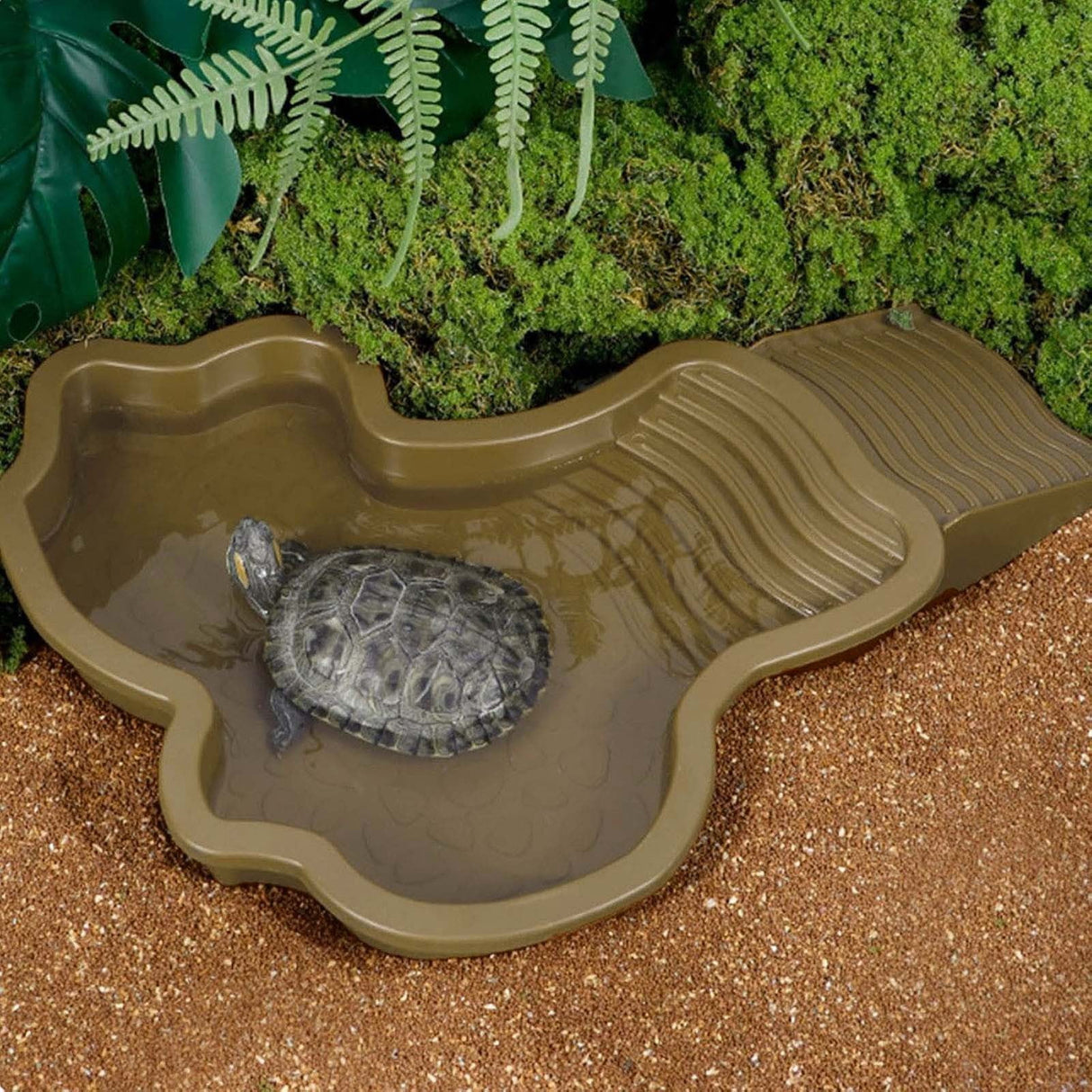Reptile Bathing Pool Turtle Bath Amphibians Accessories with Ramp Tortoise Feeder Lizards Habitat for Tortoise Scorpion Snake B