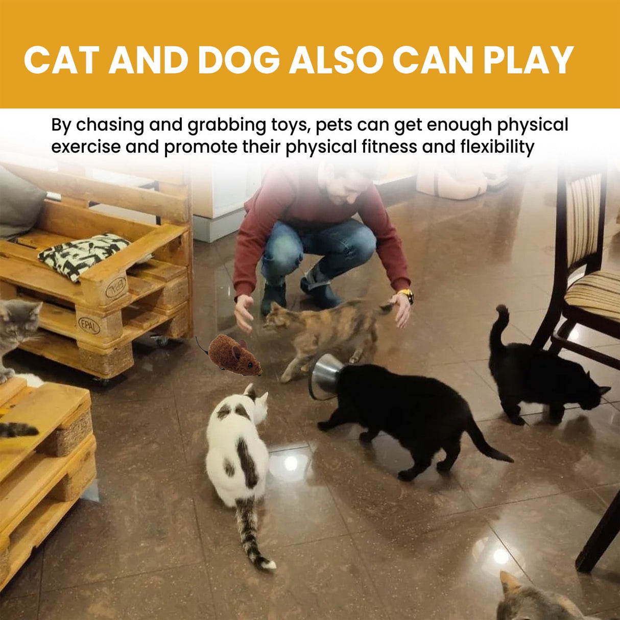 Interactive Toys for Indoor Cats, Mouse Toys with Electronic Realistic Squeaky Sound, Automatic Moving Kitten Toys Electric Mice Toy Self Play Exercise Brown