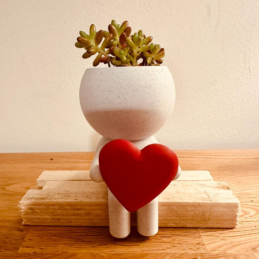 Home Decor Succulent Air Planter Stand,Air Plant holder, Air Plant Lover Gift Desk Decor