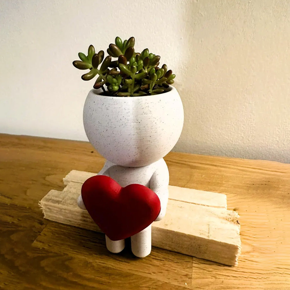 Home Decor Succulent Air Planter Stand,Air Plant holder, Air Plant Lover Gift Desk Decor
