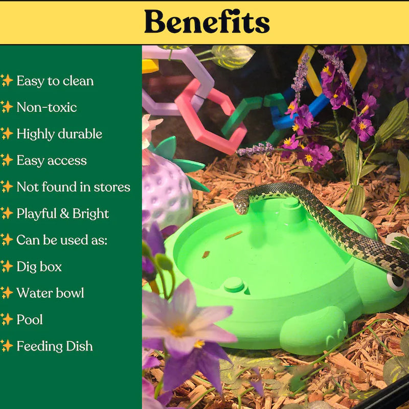 Mini Turtle Sandbox Desk Toy with Small Tools, Mini Zen Garden Fidget Stress Relief Toys for Adults and Kids, Desktop Decor Accessories for Home and Office