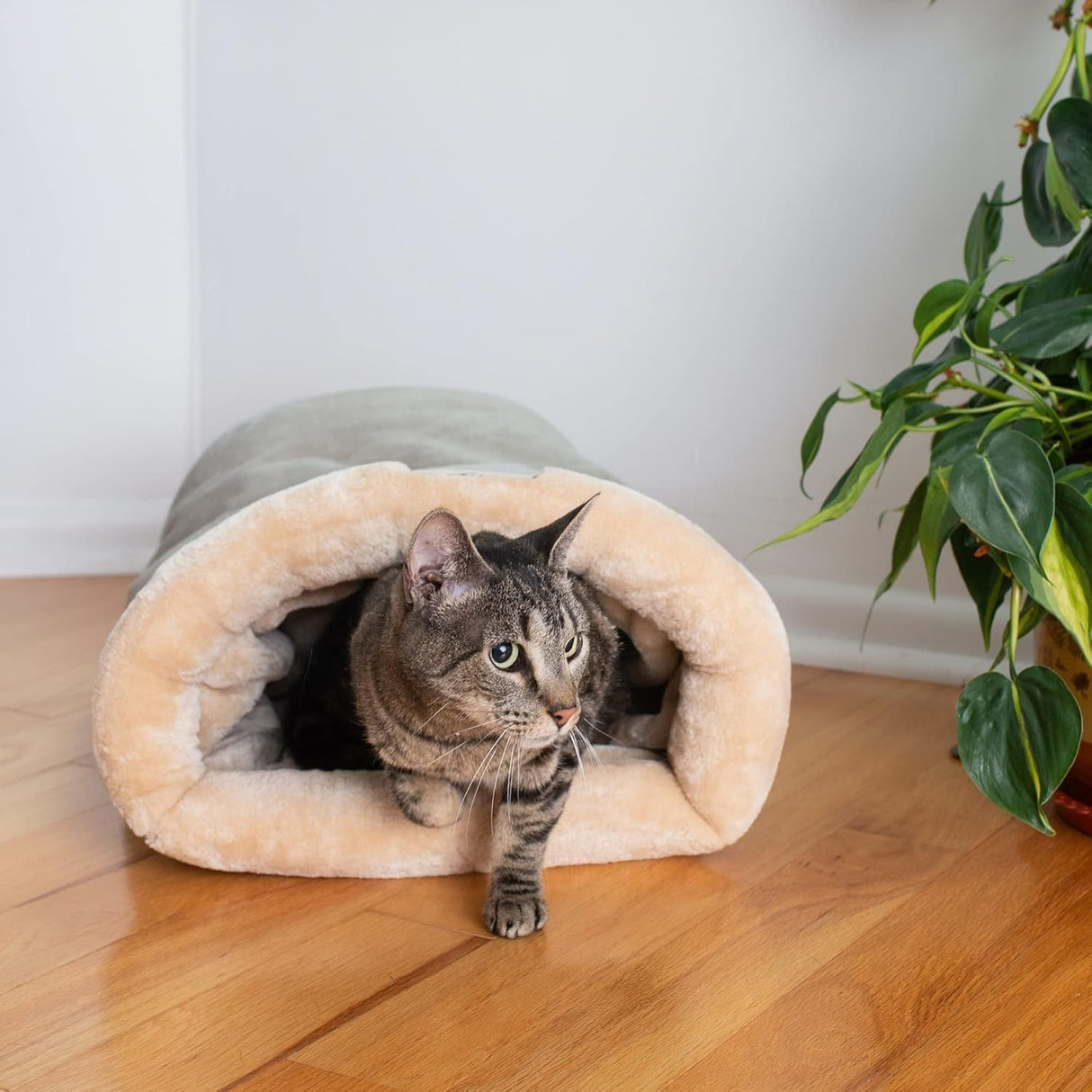 Warm Pet Bed for Cats and Dogs Upgraded Support Style Dark Brown