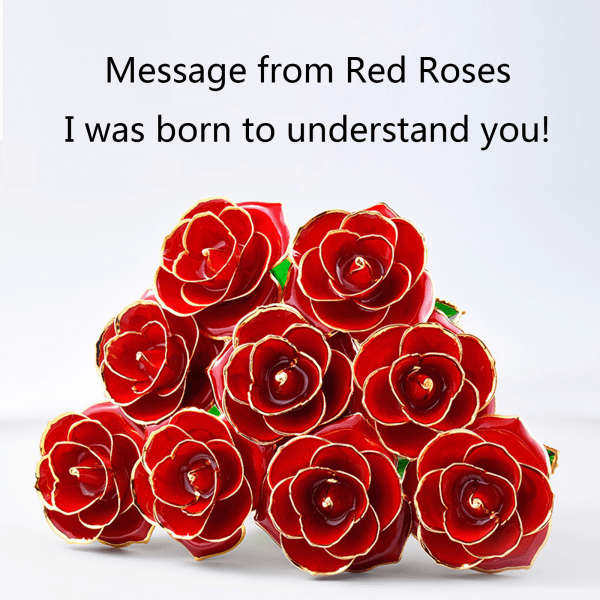 24K Gold Plated Rose, Dried Flower Kit with Gift Box and Display Stand, Rose Red