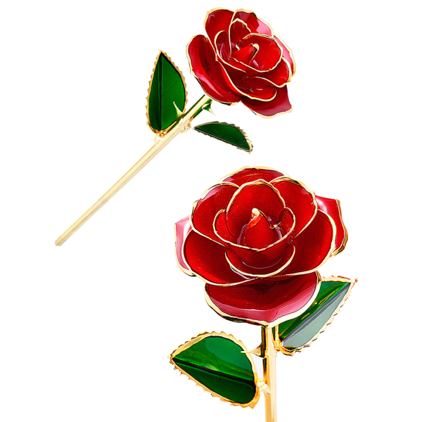 24K Gold Plated Rose, Dried Flower Kit with Gift Box and Display Stand, Rose Red