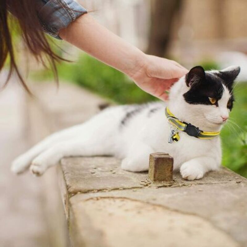 6X Adjustable Reflective Collars for Cats and Puppies with Bell and Safety Buckle, Cute Multicolor Pet Accessories