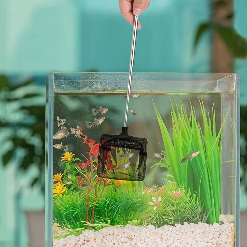 Adjustable Telescopic Fishing Net for Aquarium, Extendable Handle Fishing Landing Net, Mini Foldable Net for Aquarium, 1 Pack