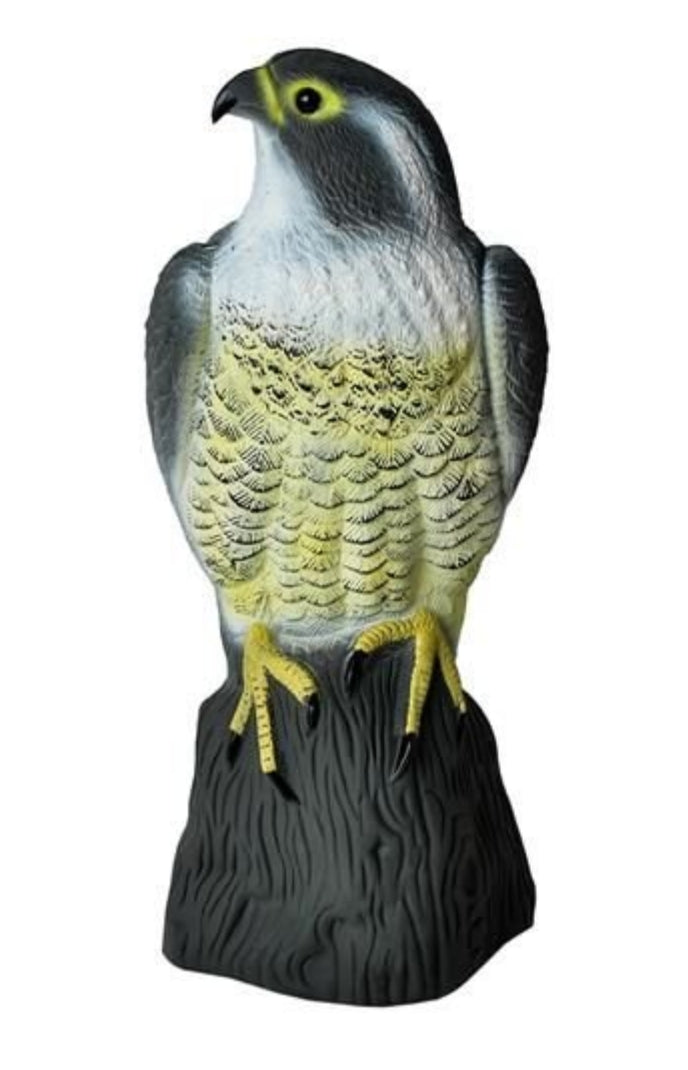 Scarecrow Eagle - Scares away Birds