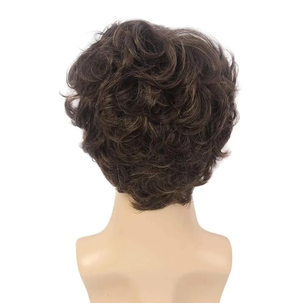 Short Black Men's Wig with Curly and Fluffy Wigs, Natural Synthetic Wigs for Men, Daily Party Wear for Men Brown 10 Inch