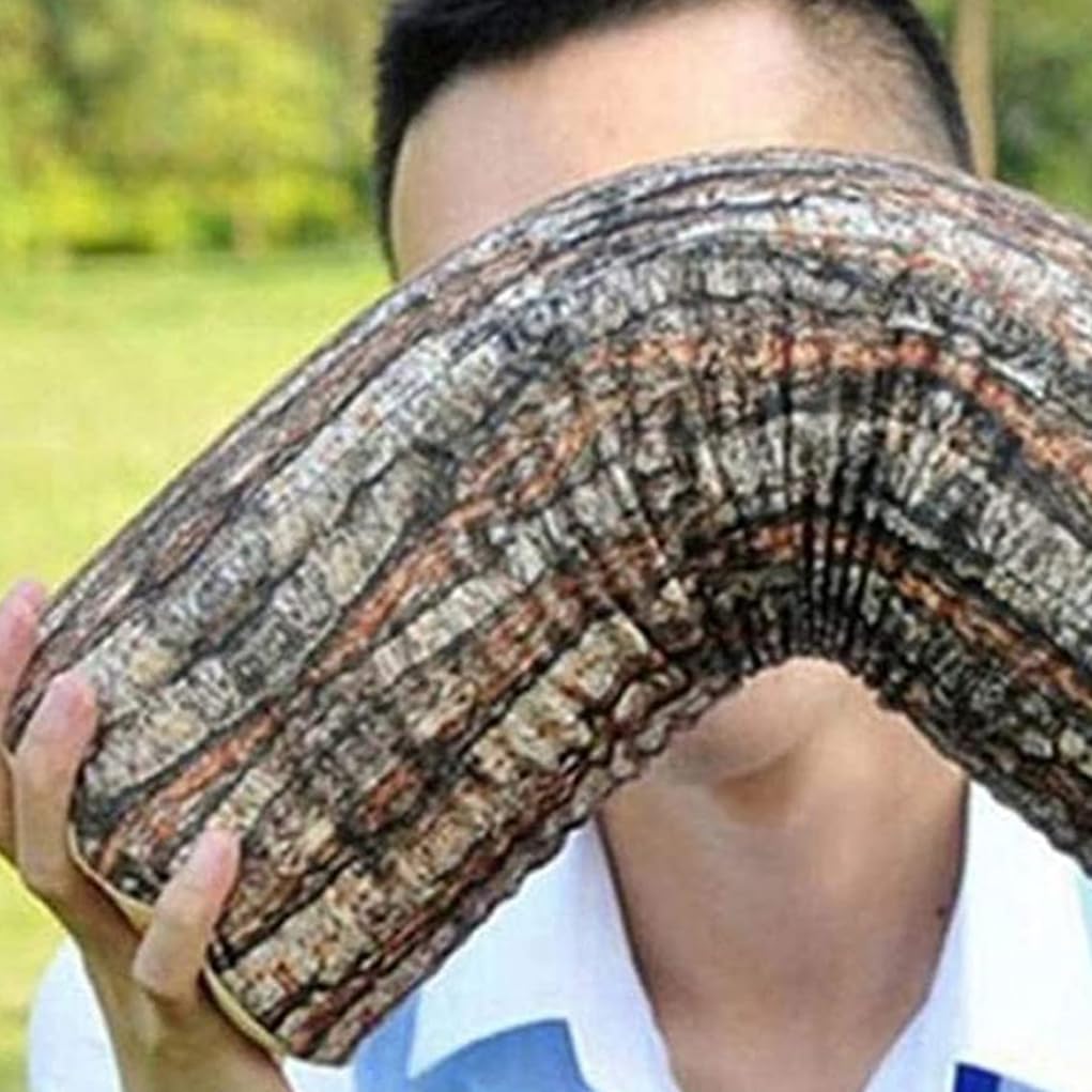 Creative natural wood design log soft chair cushions pillows round wood grain stump shaped decorative pillows pillowcase home decor