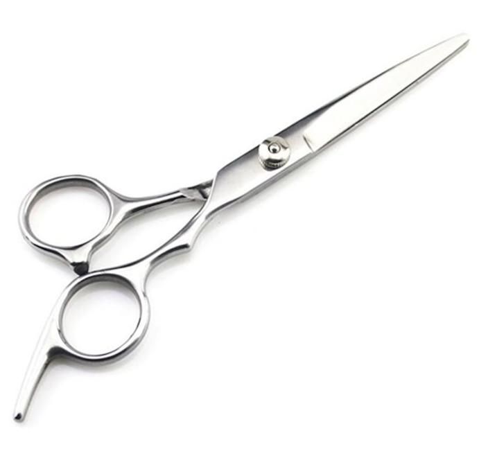 Hairdressing Scissors Stainless Steel Silver