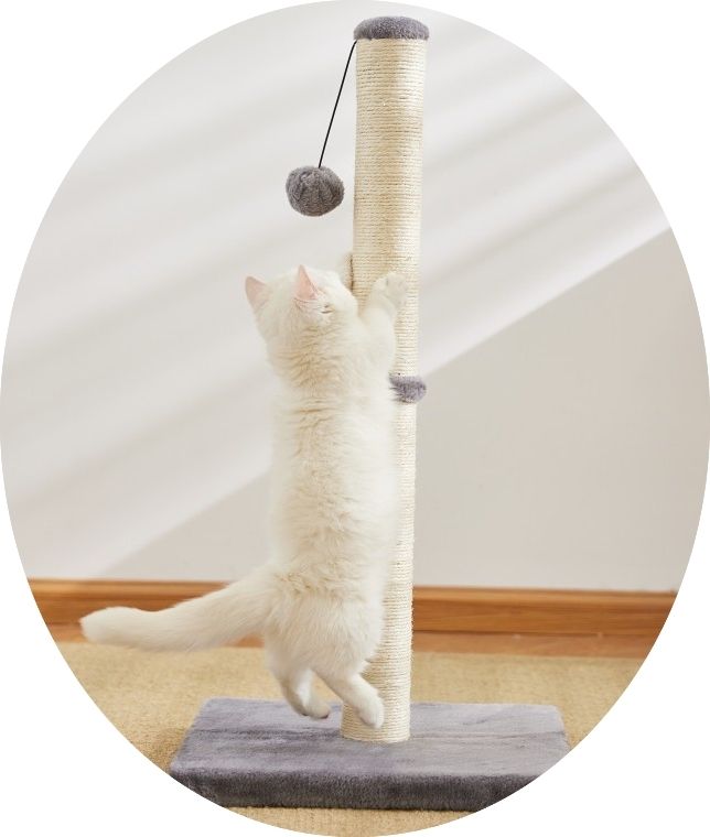 Cat Scratching Post Tree, MultiColor